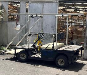 CARRITO DE GOLF CAMARA 